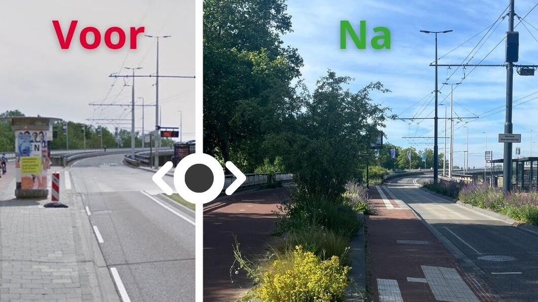 een voor en na foto van de bushalte bij de rijnstraat