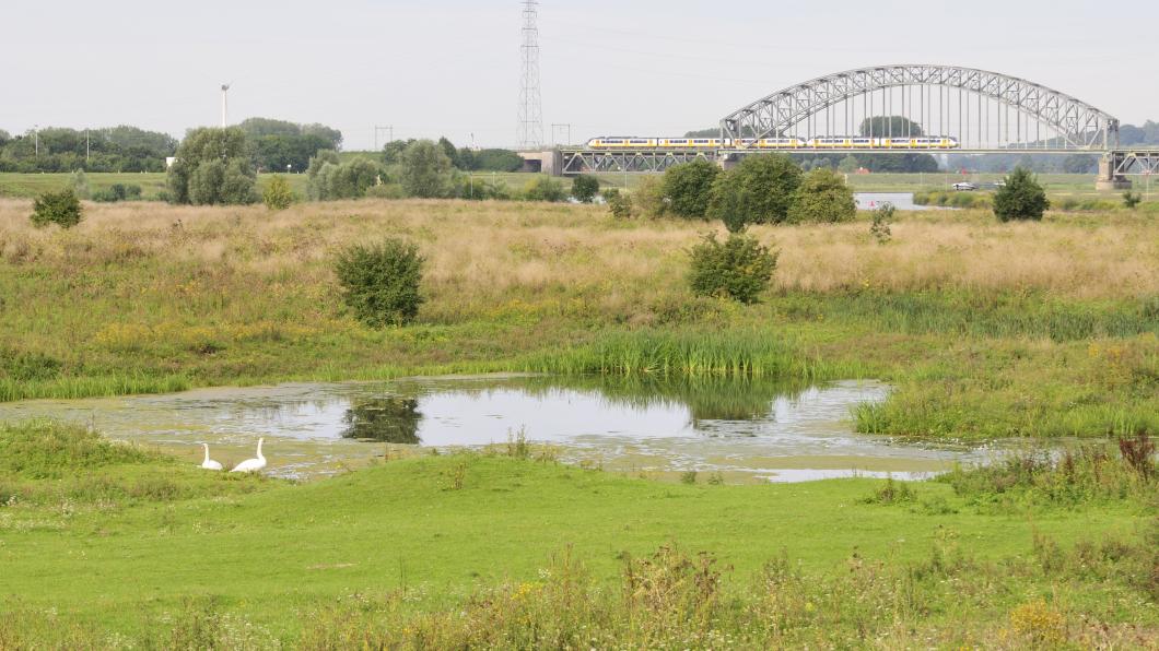 Samen voor Arnhem.jpg