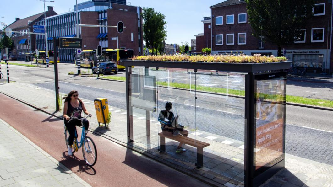 Foto van een Utrechts bushokje met groen dak