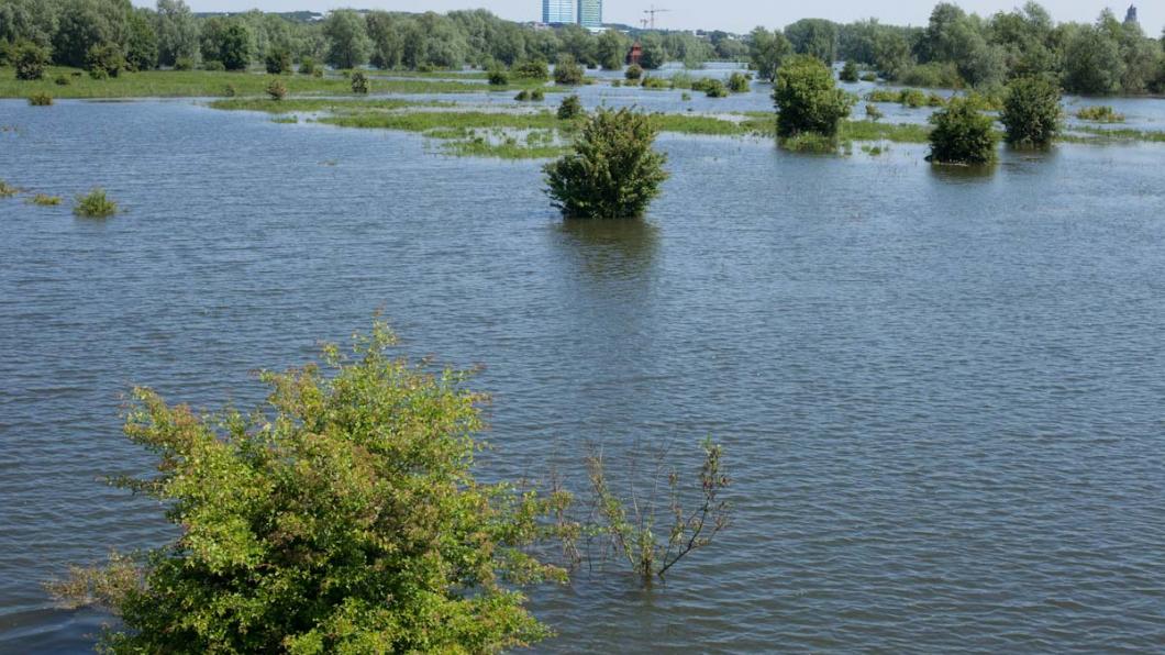 Meinerswijk onder water