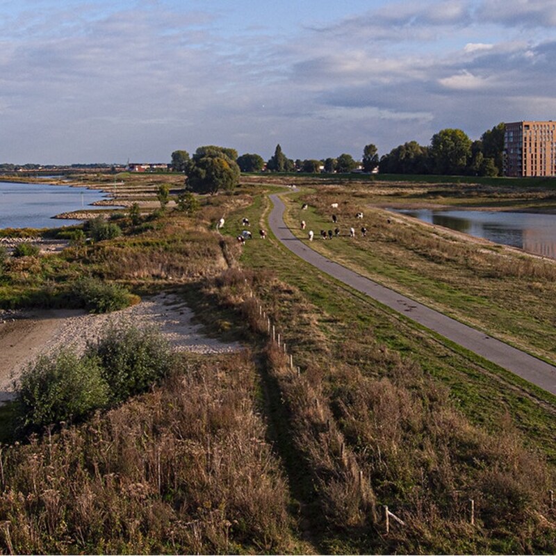 meinerswijk2