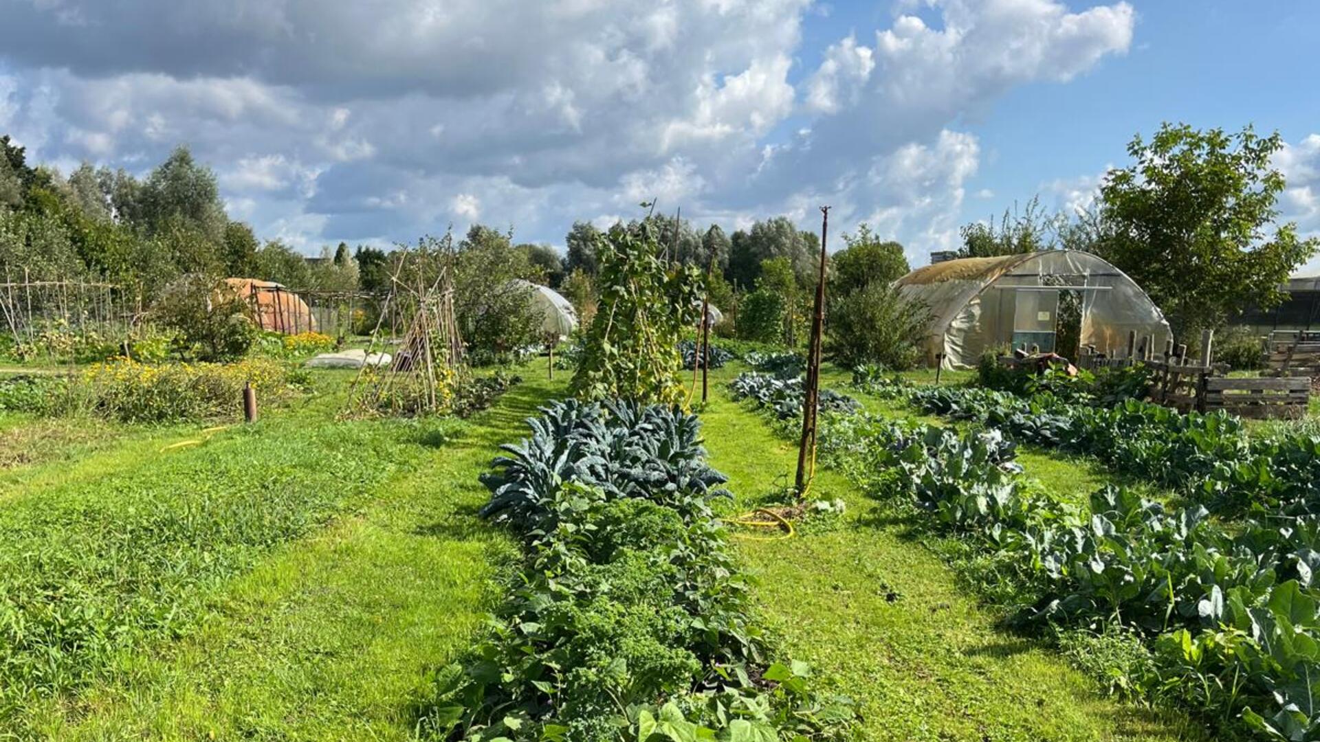 moestuinbedden en kassen 