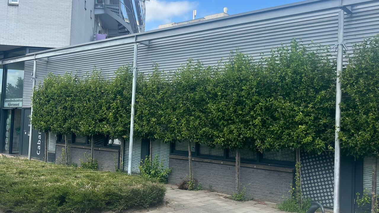 vergroening wand gebouw 